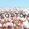 FTB Cotton 2.8.5