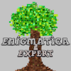 Enigmatica 2 : Expert | Skyblock 1.25