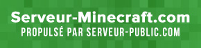 Serveur Minecraft